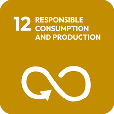 responsible consumption production